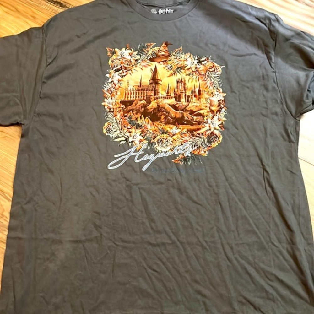 Harry Potter T-shirt, new two XL lootwear
